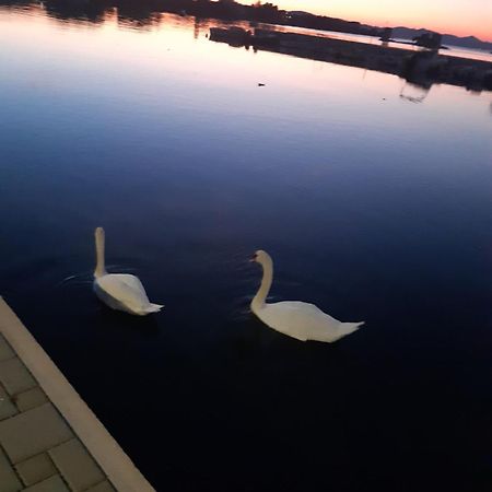 Apartman Barbir Sukošan Buitenkant foto